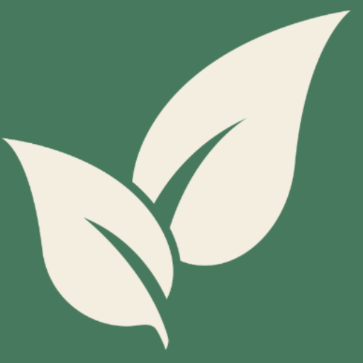 Promenade en foret Teambuilding